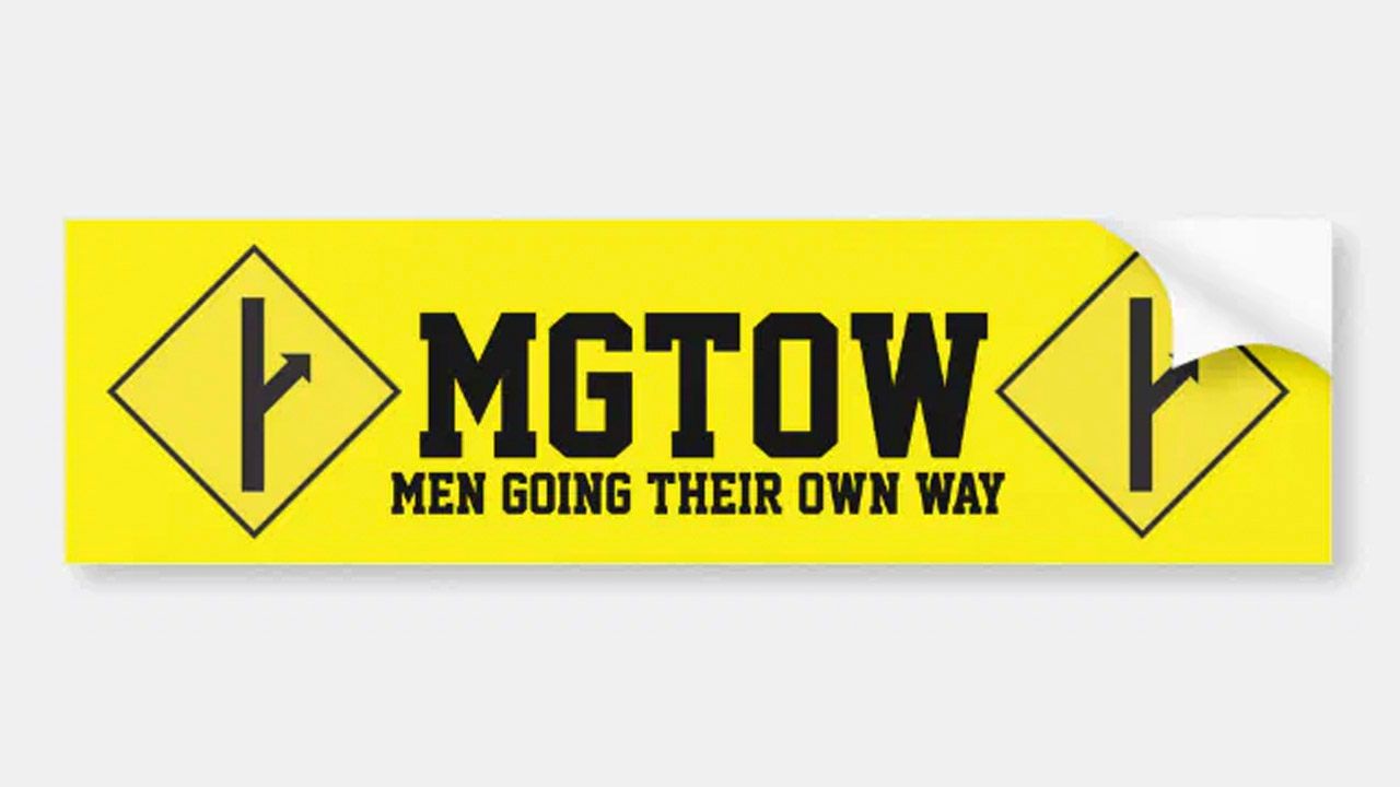 Les typologies de MGTOW